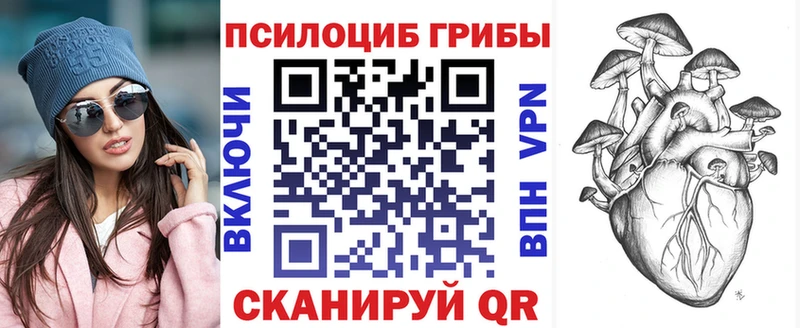 Купить где  Партизанск  Псилоцибиновые грибы мухоморы 
